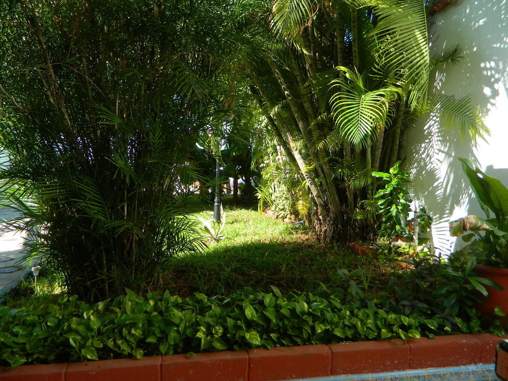Hotel Colon Mérida Esterno foto